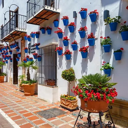 Palm By Interhome 公寓 *