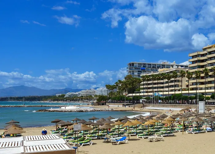 Palm By Interhome Apartment *