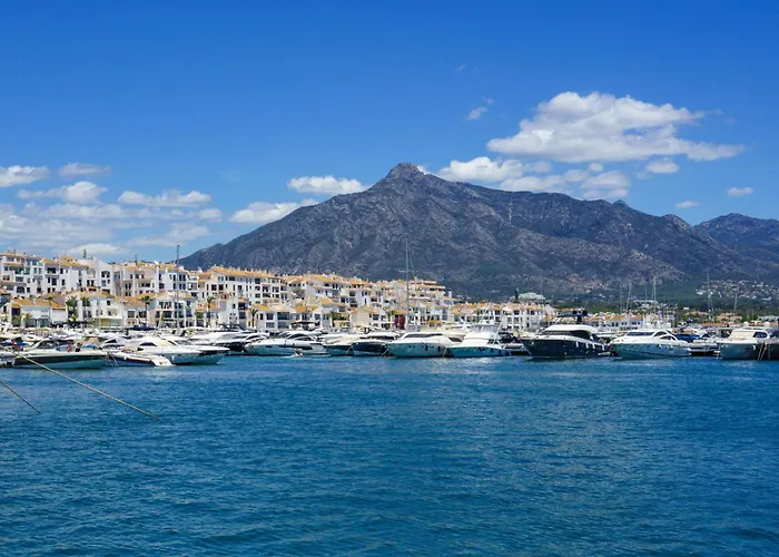 Palm By Interhome Apartment